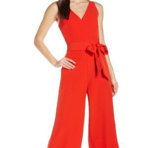 Sam Edelman V-Neck Stretch Jumpsuit